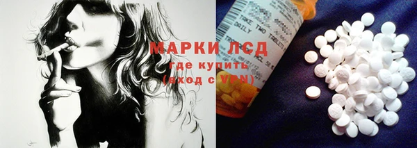 молекула духа Арсеньев