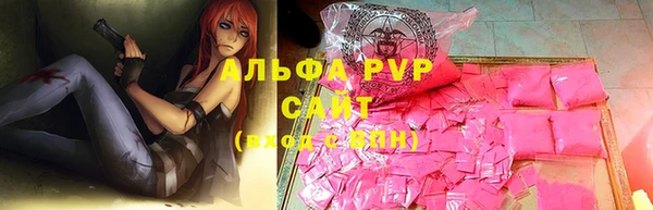 молекула духа Арсеньев