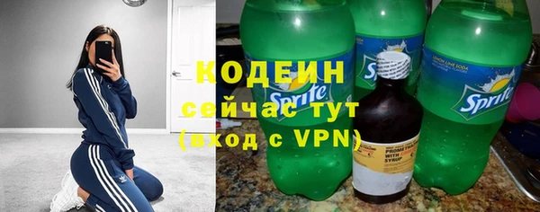молекула духа Арсеньев