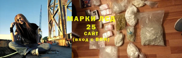 стаф Аркадак