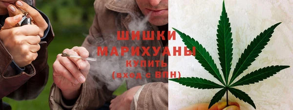 стаф Аркадак