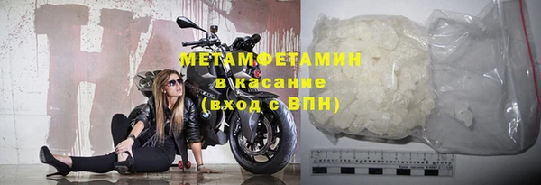 стаф Аркадак