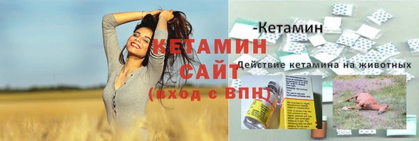 молекула духа Арсеньев