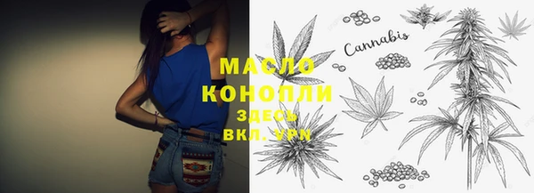 молекула духа Арсеньев