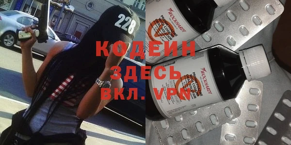 стаф Аркадак