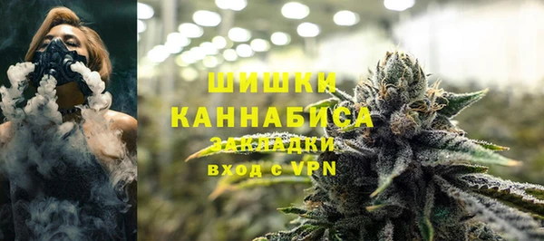 стаф Аркадак
