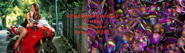 таблы Армянск