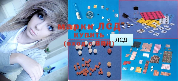 молекула духа Арсеньев