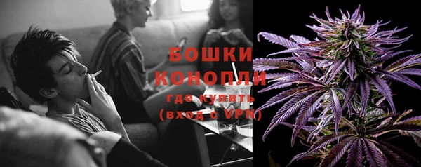молекула духа Арсеньев