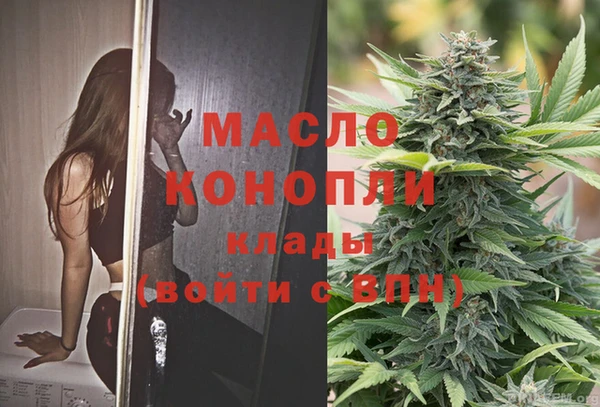 молекула духа Арсеньев