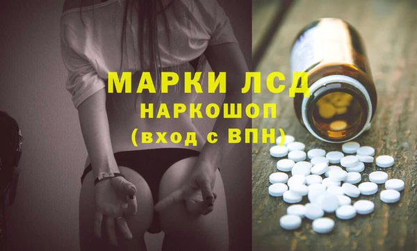 стаф Аркадак