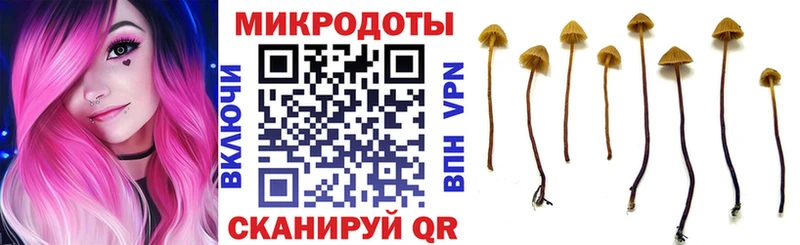 Псилоцибиновые грибы ЛСД  купить закладку  Белорецк 